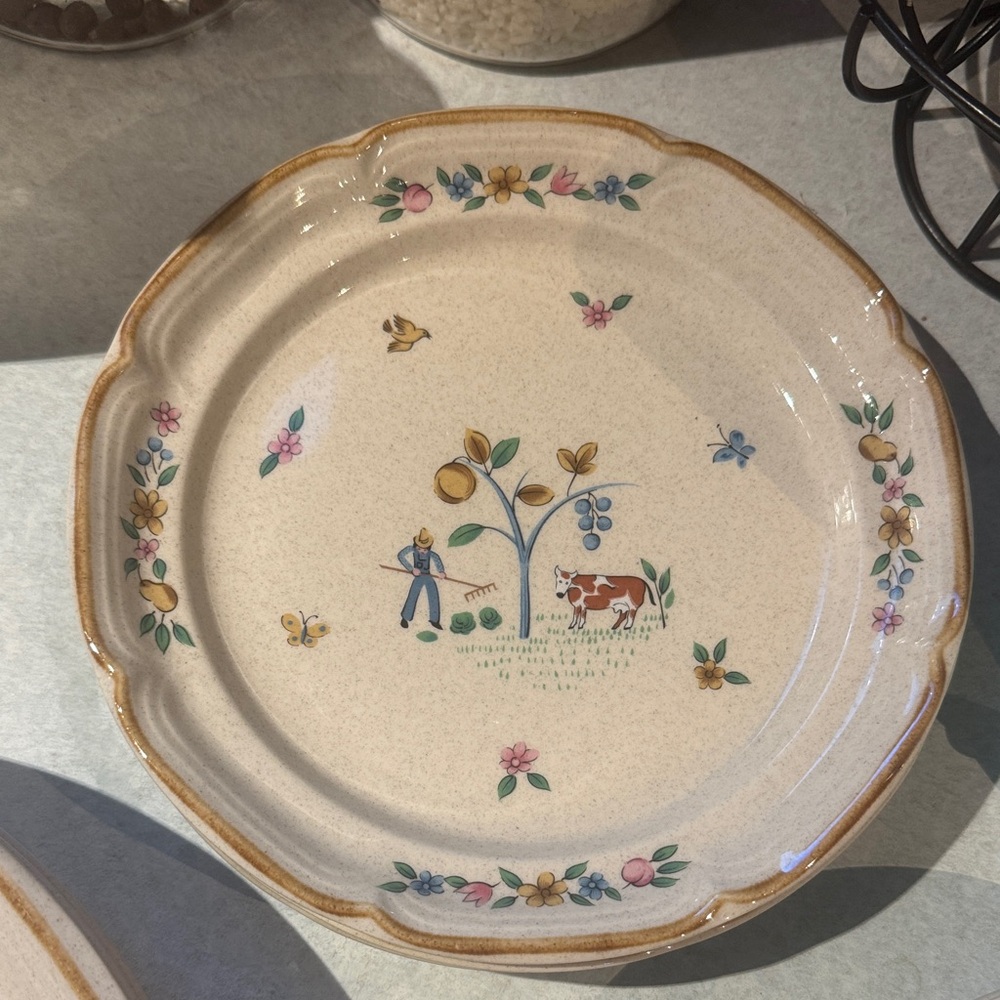 International heartland salad plate